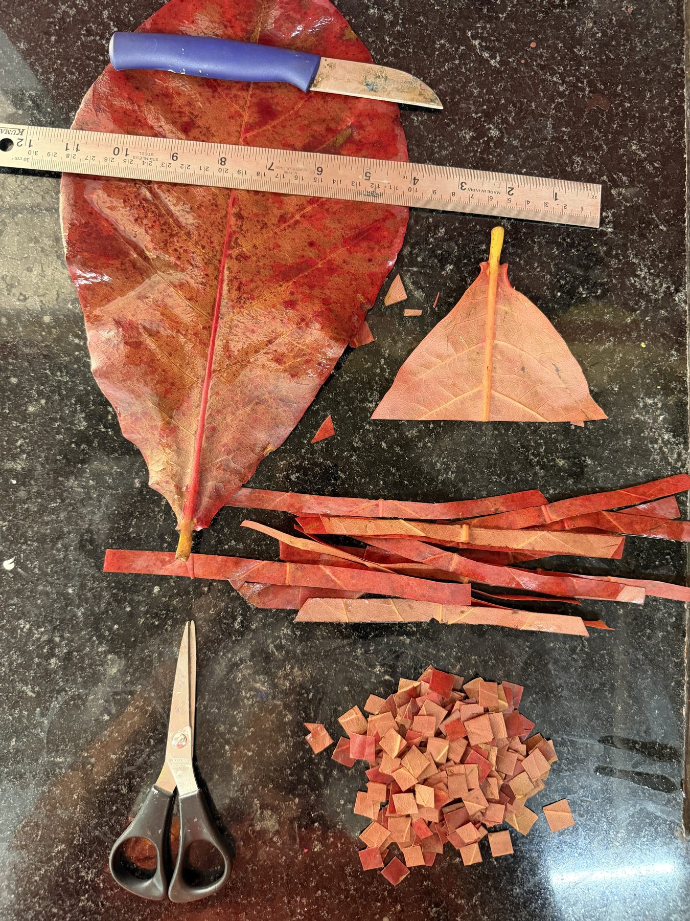 Dried botanical leaves arranged on white fabric for eco printing at home